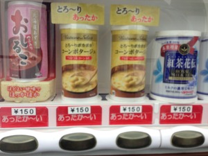 fujisankoyo8