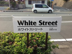 IMG_0505